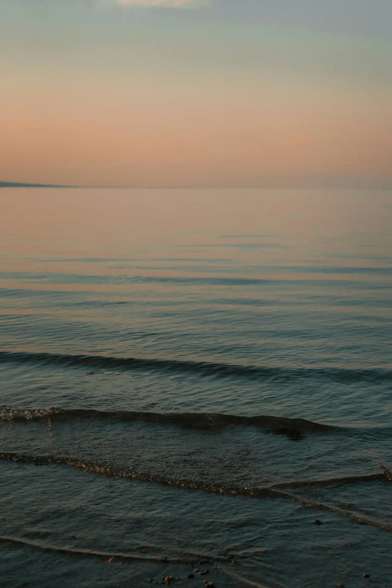 Imagen de Driftwood Beach